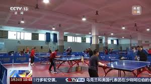 BSport网页版入口 古老传统:鞍马让马匹高雅优美的动作展现